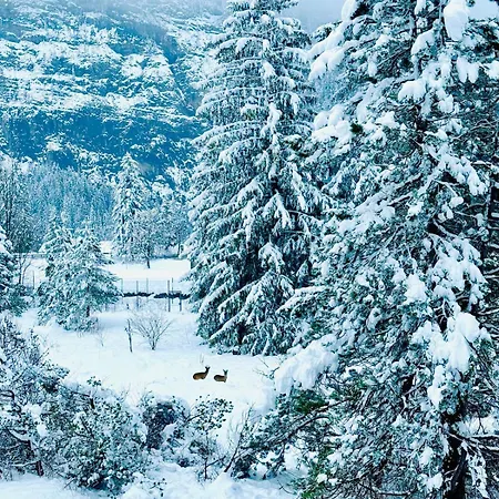 Mountain * 坎德施泰格