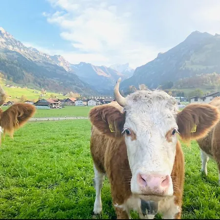 Mountain * 坎德施泰格