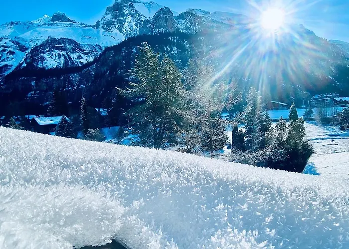 Mountain Lejlighed Kandersteg
