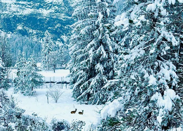 Mountain * Kandersteg