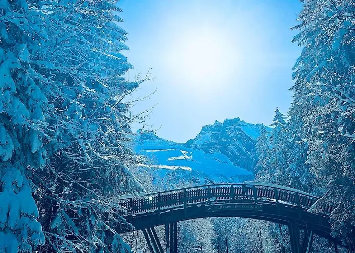 Mountain Lejlighed *