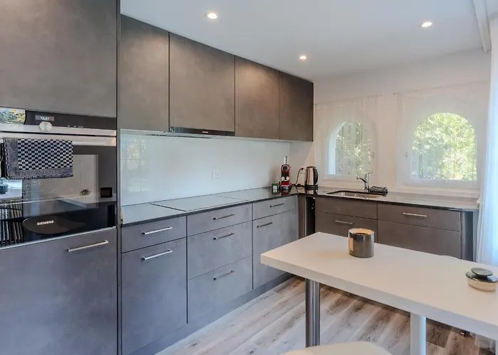 Lejlighed Mountain Kandersteg