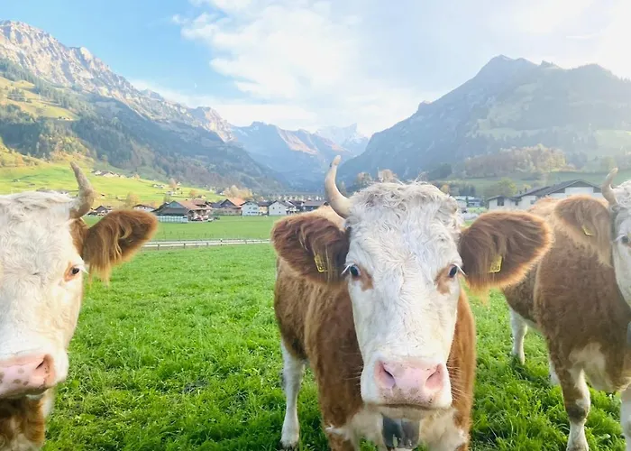 Mountain * Kandersteg