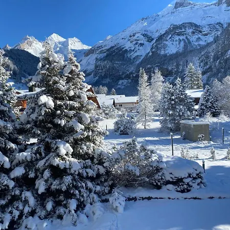 Διαμέρισμα Mountain