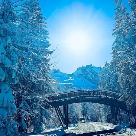 Mountain Lejlighed *